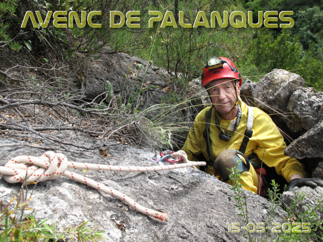 Imatge de portada del article