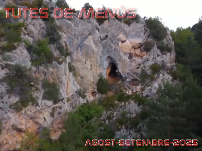 Imatge de portada del article