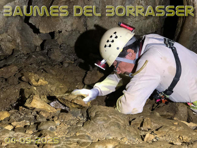Imatge de portada del article