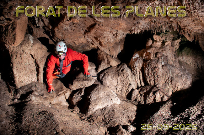 Imatge de portada del article
