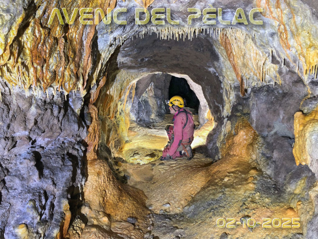 Imatge de portada del article