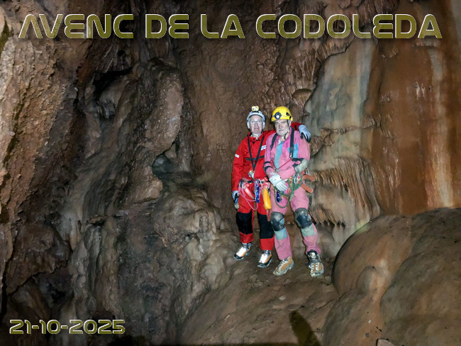 Imatge de portada del article