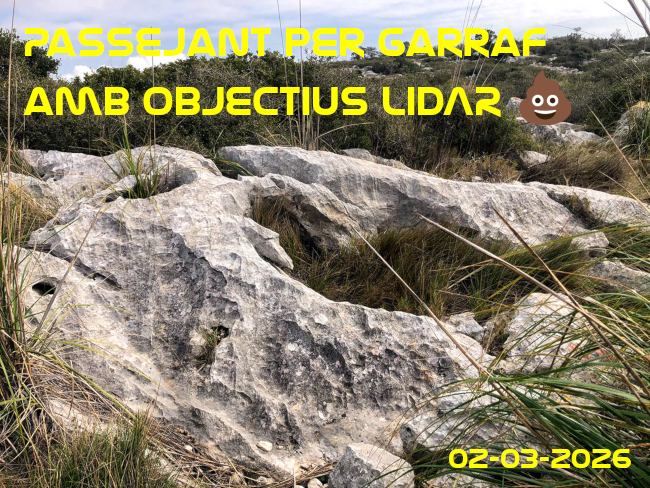 Imatge de portada del article