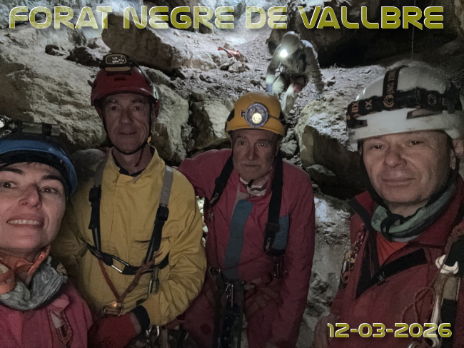 Imatge de portada del article