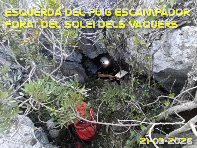 Imatge de portada del article