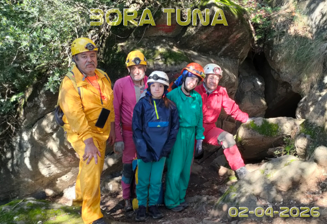 Imatge de portada del article