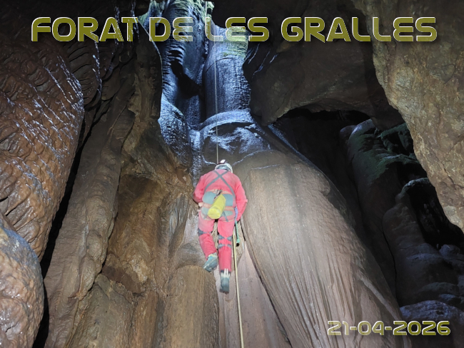 Imatge de portada del article