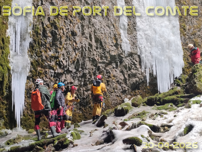 Portada article
