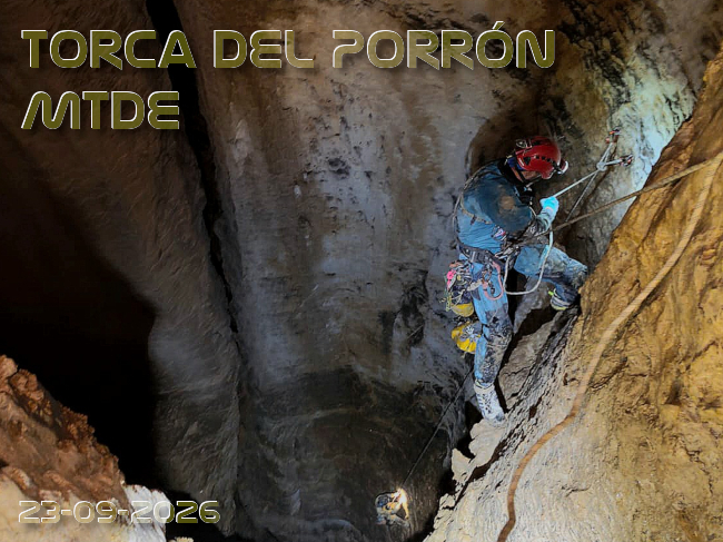 Portada article